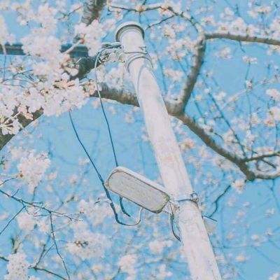 中超英雄之绿茵王朝手游下载